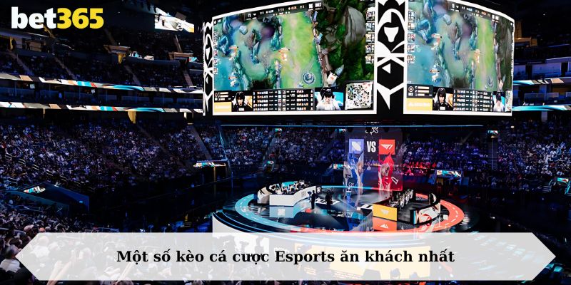 Một số kèo cá cược Esports ăn khách nhất